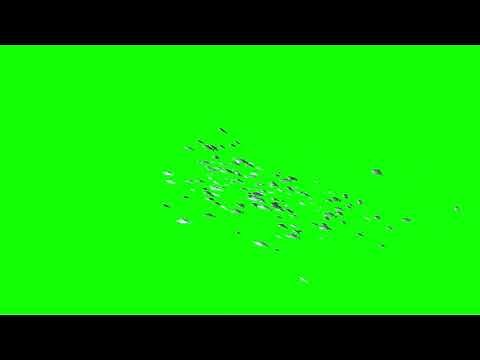 Huge Animated Fish School Green Screen Background