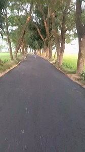 436K views · 10K reactions | Mohammed Hosen on Reels | Facebook