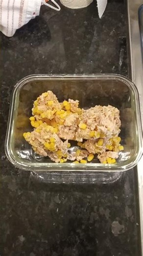 FROZEN Cooked Chicken Carcass Casserole