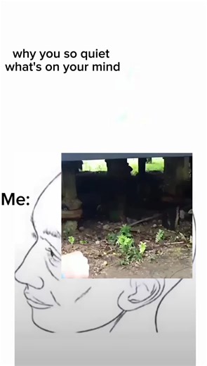 Kumpulan Video Lucu dan Meme Terbaik di TikTok