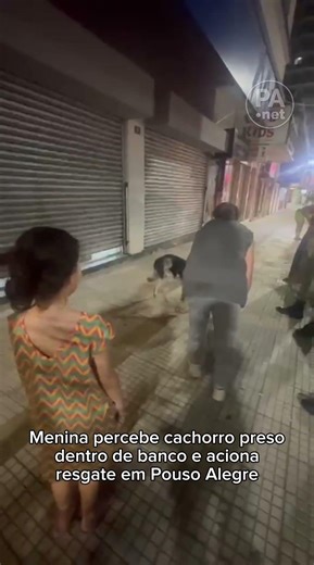 Menina percebe cachorro preso dentro de banco e aciona resgate em Pouso Alegre