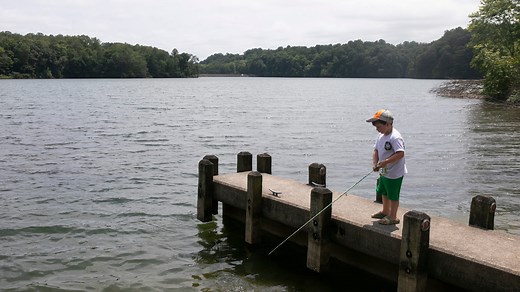 Ohio's 10 biggest lakes that aren't Lake Erie cover thousands of acres across the state