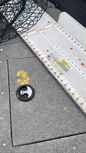 Biggest fish of my life | Andrew Walker