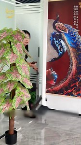 2.7M views · 121K reactions | ភាពយន្តខ្លីល្អៗ ភាគ : 110 | Damn Heats | Facebook