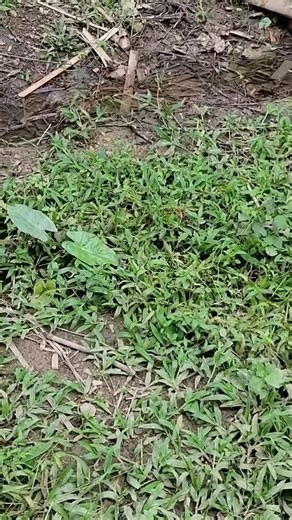 Motion Pro Studio on Reels