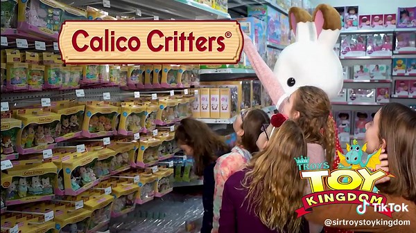 Visit Sir Troy’s Toy Kingdom! #shopsmallbusiness #ohioowned #toys #toystore #shoplocal