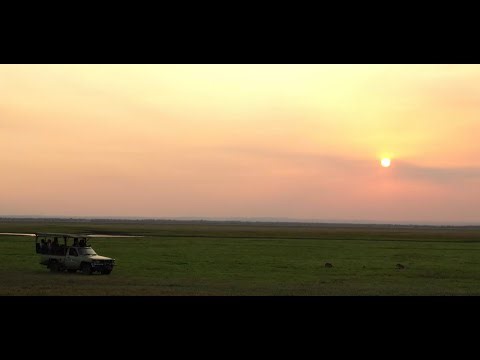 epic ERP Gorongosa Case Study