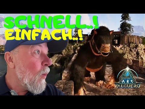 🔥Megatherium zähmen - schnell, Einfach & Total OP! | ARK Survival Ascended | Valguero #13