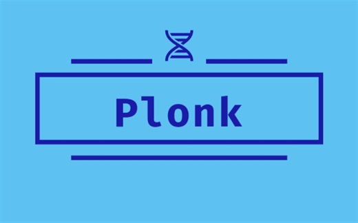 【中文精翻】Plonk是如何工作的 Part 2：概述