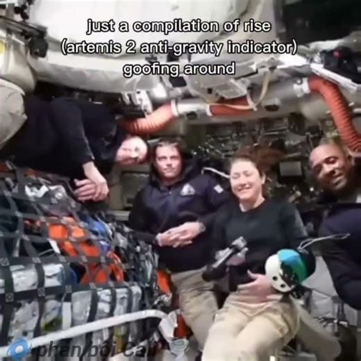 Instead of following the others, I paid attention to Rise. |#nasa #funny