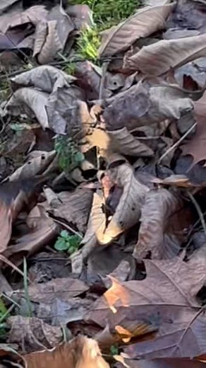 Just practicing! | Mike Pyles