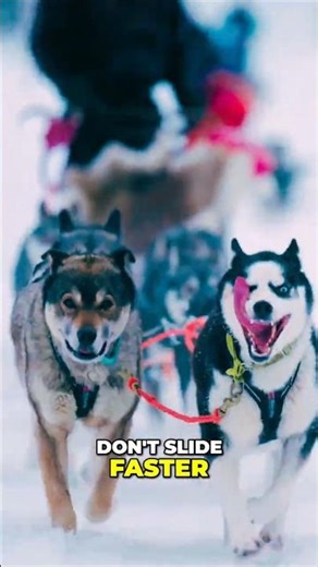 Epic Snowmobile Adventure Hold On For Winter's Wild Ride! #cantorin