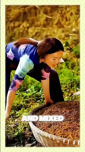 2,000-Year Old Paper Making Techniques😮