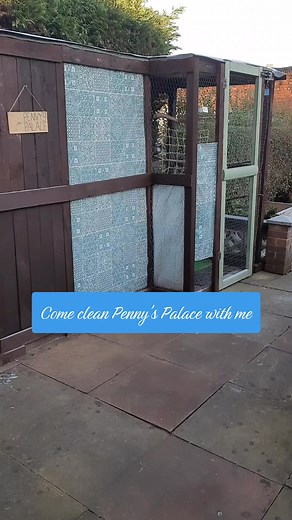 Cleaning Penny's Avery Routine with Pigeon Lover