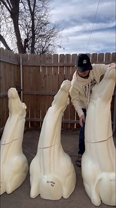 4.6K views · 50 reactions | Taxidermy orders from Matuska and Headquarters 歷 #taxidermy #animals #art #deer #wildlife #hunting #trophyhunting | Cpacify Maris | Facebook