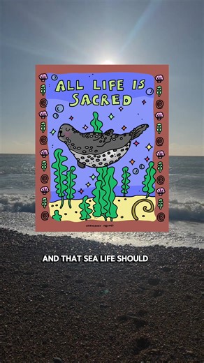 It felt magical to honour the life of this young seal with artwork today. I really wanted to use this opportunity to share what I did in response to this discovery. The reason we need to let relevant initiatives know is that one seal dying might be the circle of life but many dying or a pattern might indicate a problem whether disease or human attacks or other isssues. So if this happens to you, reach out and do your part too. Thankyou Wednesday #brighton #sealconservation