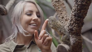448K views · 10K reactions | Proof that Pygmy Marmosets are worlds sweetest monkeys  殺 | Symbio Wildlife Park | Facebook
