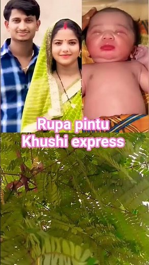 Rupa pintu Khushi express