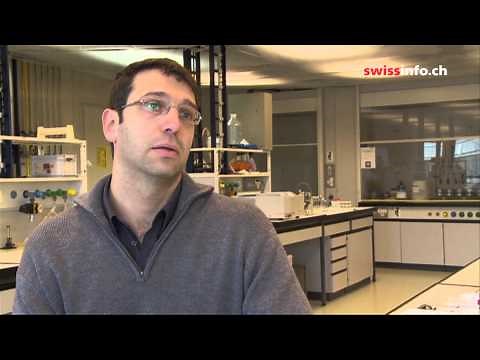 Fish eats plastic, man eats fish: tiny particles, huge threat