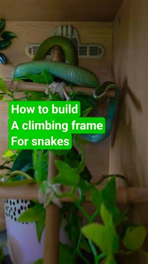 How to build a climbing frame for snakes