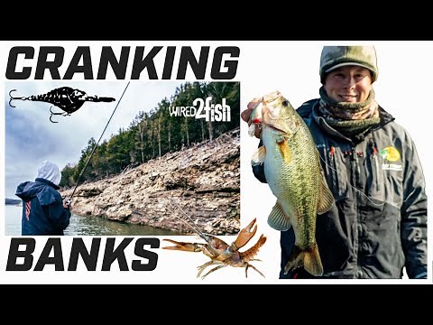 Crankbait Fishing Tips for Winter Bass on Rocky Banks