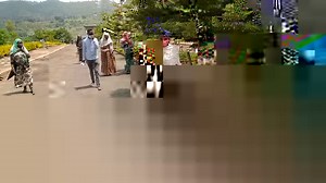 1K views · 17 reactions | Ambo University on Reels | Facebook