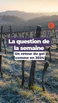 Est-ce que 2026 sera comme 2024 concernant le gel ? #agriculture #actus #climat