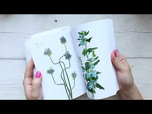 PART 2/2 My Favourite [Modern] Botanical Art Books!