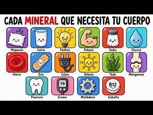 Todos los minerales que necesita tu cuerpo y por qué son esenciales