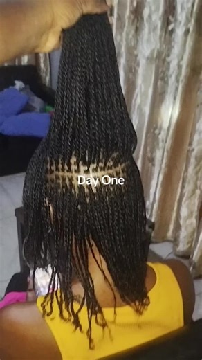 microtwists going through a beautiful transition.. #starterlocs #microtwistslocs #microlocks #microlocksinstallation #microlocksjourney