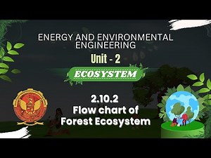 2.10.2 Flow chart of Forest Ecosystem | ES301 |
