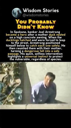 THE BANKER Who Saved Ducklings