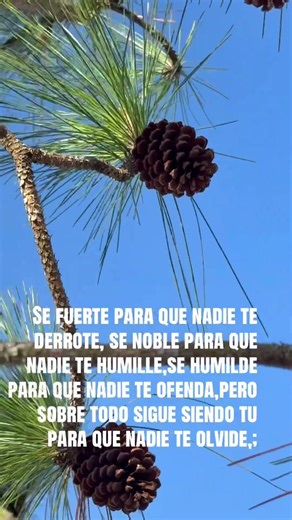 La fuerza interna vale oro #youtubevideos #fouryourpag #motivationalvideo #fouryou #frases