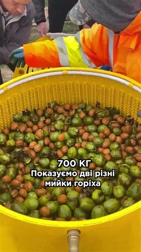 Порівнюємо дві мийки! 100кг та 700кг #україна #бізнес #горіхи