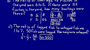 Lesson 64 DIVE Math 8/7 1st Edition