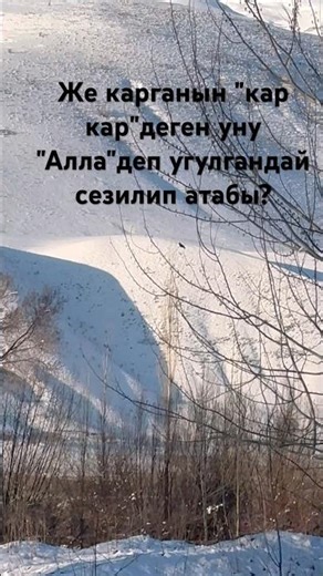 The raven sounds like Allah