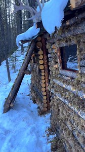 Firewood isn’t optional out here, it’s survival. Today we’re cutting and processing wood at the bushcraft cabin to stay warm, cook meals, and keep this place running through real wilderness conditions. No shortcuts. Just sharp tools, hard work, and off grid bushcraft skills. Do you prefer HAND TOOLS or a CHAINSAW when cutting wood? 👇 Drop your answer below #bushcraft #bushcraftcabin #offgridliving | Nature Daddy
