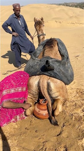 قدر من الماء يغلي تحت أشعة الشمس الحارقة