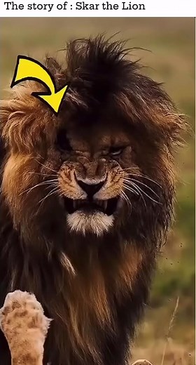King Scar: The Legendary Lion of Kenya and Uganda