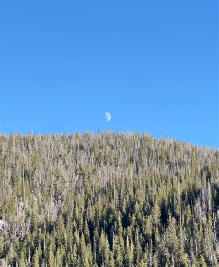 JACQUE on Instagram: "God I love colorado and I love these girls"