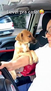 1.6M views · 134K reactions | Vai mr adotar sim!❤️來 Todos os dias ela passa nessa rua para ir trabalhar. Rua de poucas casas e muitos galpões e foi nessa manhã (26/8/25-8h) que ela se me deparou com essa cena. 凉❤️ Ela nunca o viu ali antes, só pode ter sido abandonado ali naquela noite! Mas foi resgatado e vai dormir no quentinho a partir de hoje 殺 Via @alessandrabravo | Leandro Rodrigues | Facebook