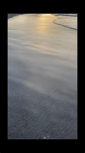 The Magic of Beach Walk 🌅✨