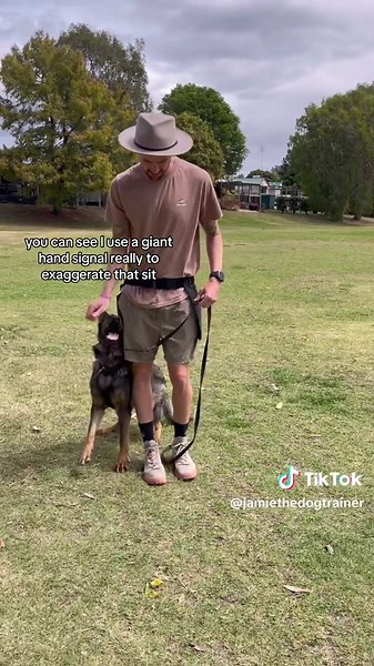 Jamie The Dog Trainer on TikTok