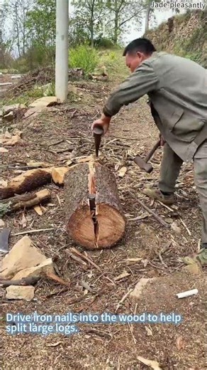 Techniques for splitting large logs