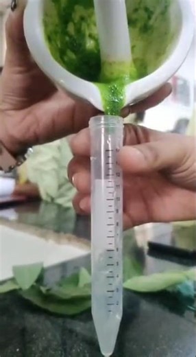 DNA Extraction from leaf #biology #dna #practical #12th #viral #science #trending