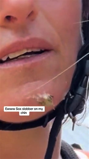 Sox litterally understands English | Sausagesoxandsteve