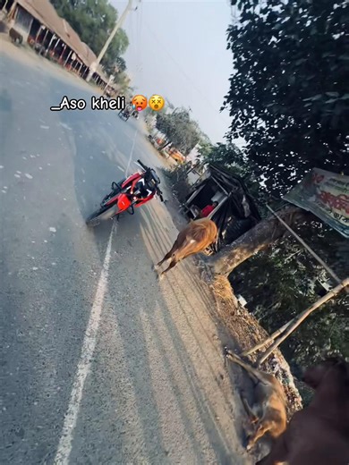 Aso Kheli: Unleash Your Energy!