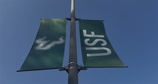 University of South Florida launches state's first college of artificial intelligence