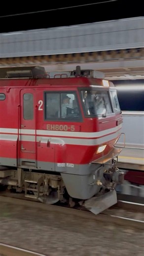 EH800-5 (青函トンネル用機関車) EH500-79 金太郎 筒井駅 20260708 #eh800 #eh500金太郎