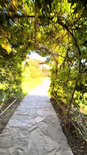 POV: your morning in Bhutan 🇧🇹 Just peace, mountains, and sunlight at Ludrong Park. #BhutanVoyage #BhutanTok #traveltok #Thimphu #PeacefulPlaces